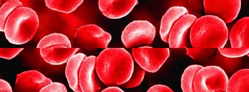 XV Ogólnopolska Konferencja Po-ASH