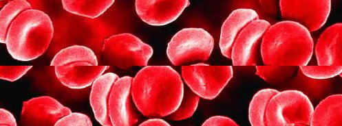 Relacje cyfrowe XV OGÓLNOPOLSKA KONFERENCJA PO-ASH: już dostępne