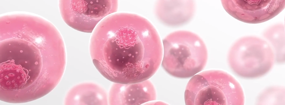 Mechanizm przedłużenia aktywności czynników krzepnięcia z frakcją Fc immunoglobulin