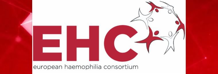 Pogłębić świadomość – kolejne webinarium EHC dedykowane kobietom