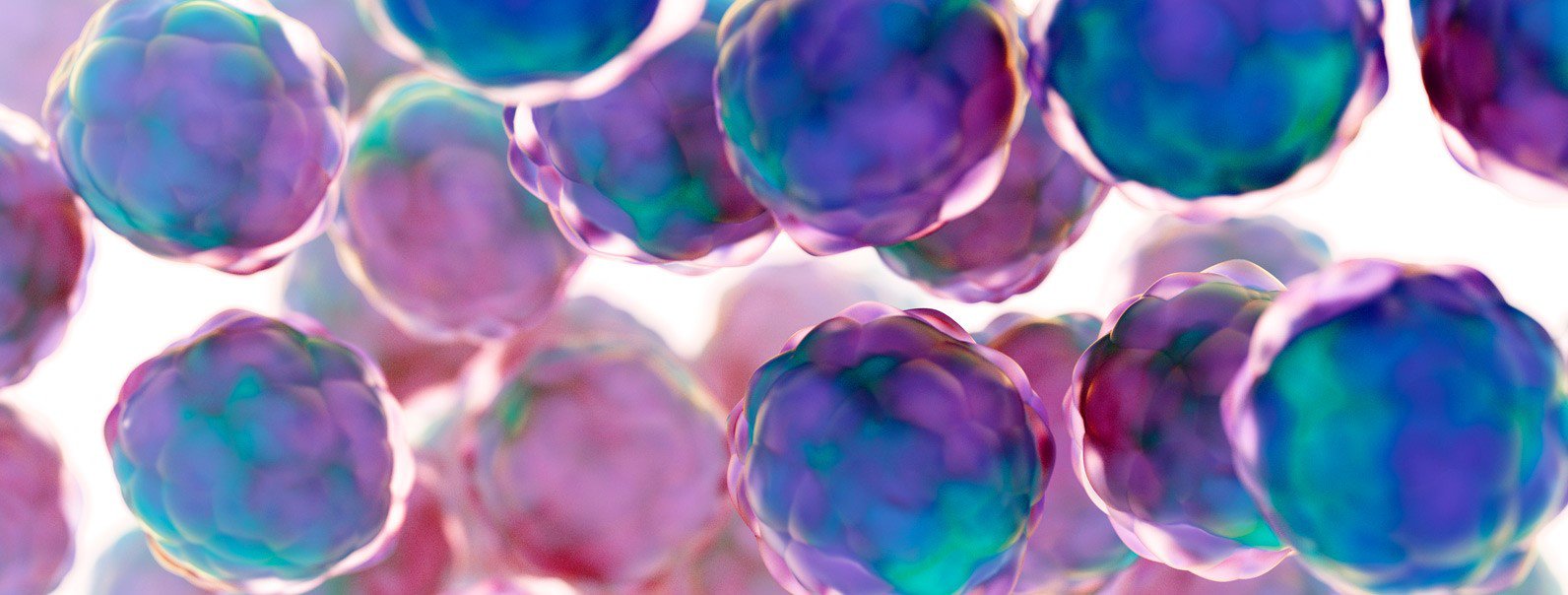 Skuteczność rFVIIIFc w porównaniu z emicizumabem w leczeniu chorych na ciężką hemofilię A niepowikłaną inhibitorem