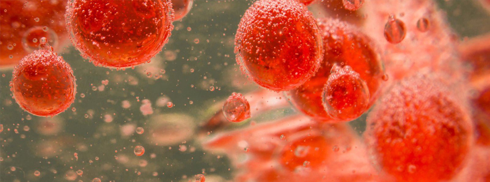 Typ 3 choroby von Willebranda – profilaktyka