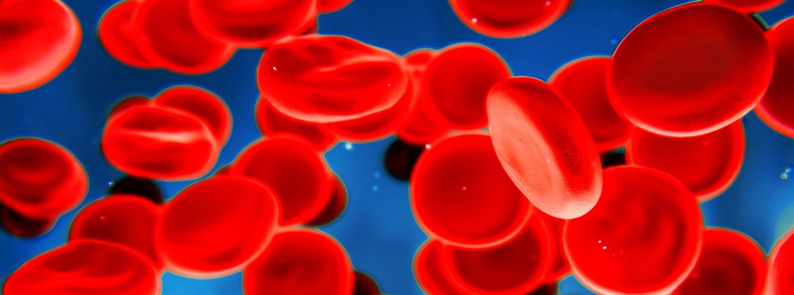 Światowy Dzień Chorych na Hemofilię | 17 kwietnia