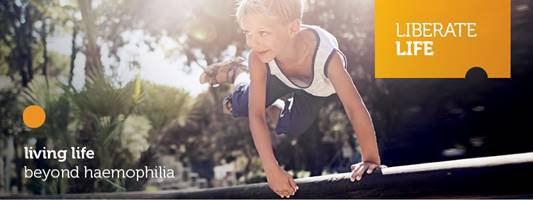 McMaster PopPK – a CE marked platform for personalized prophylaxis powered by WAPPS-HEMO