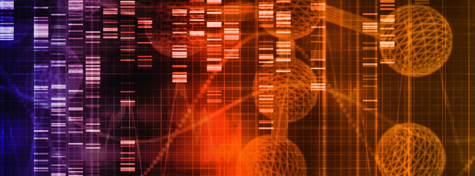 Leczenie chorych na hemofilię.  3 Wytyczne World Federation of Hemophilia (WFH) Cz. X – Ocena efektów leczenia