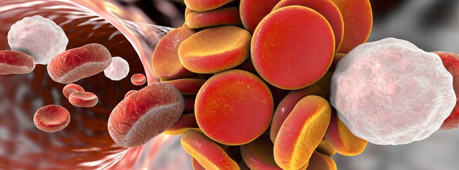 Metabolity osoczowe związane z fibrynogenem i ich wpływ na krzepnięcie, stany zapalne i choroby naczyniowe