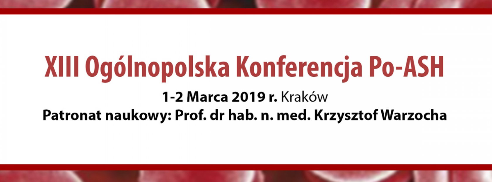 Relacje cyfrowe z XIII Ogólnopolskiej Konferencji PO-ASH, już dostępne
